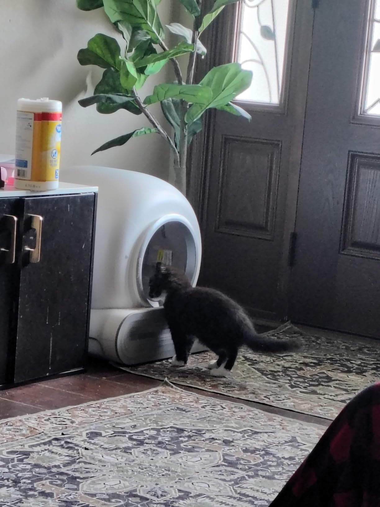 Automatic Litter Box, APP Control, 65L+9L Large Capacity,3 Rolls Litter Bag customer photo 2