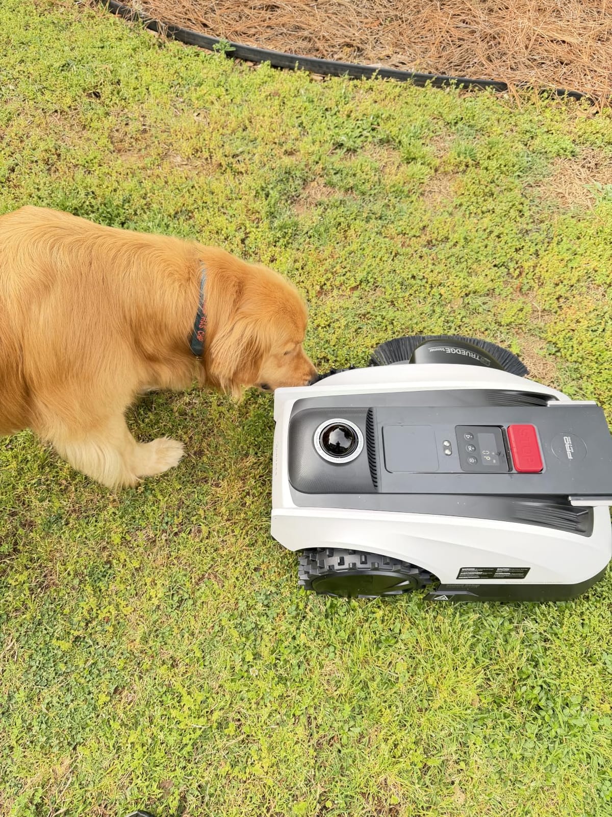 ECOVACS Goat O1000 LiDAR PRO Robot Lawn Mower, Wire-Free Mapping with LiDAR Navigation, AI Obstacle Avoidance, Smart Edge Mowing, App Control, for Lawns Up to 1/4 Acre customer photo 1