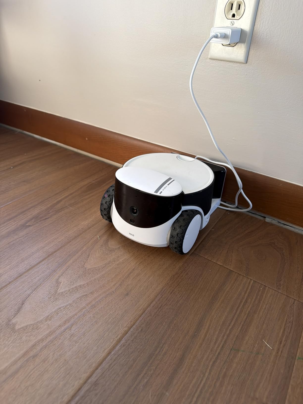 Enabot EBO ROLA PetPal Mobile 2.5K Pet Camera Robot with Treat Dispenser customer photo 2