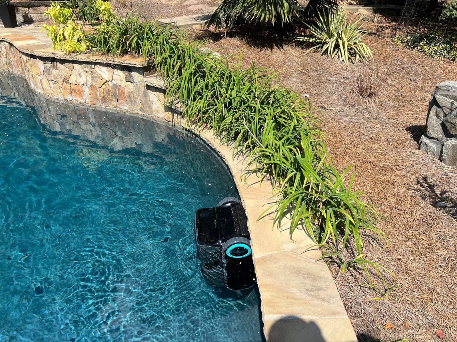 Aiper Scuba X1 Pro Max Robotic Pool Cleaner & Skimmer for Inground Pools customer photo 1