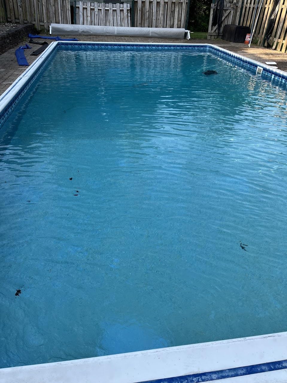 Aiper Scuba S3 Robotic Pool Cleaner with Auto-Parking & Alerts, Azure customer photo 1