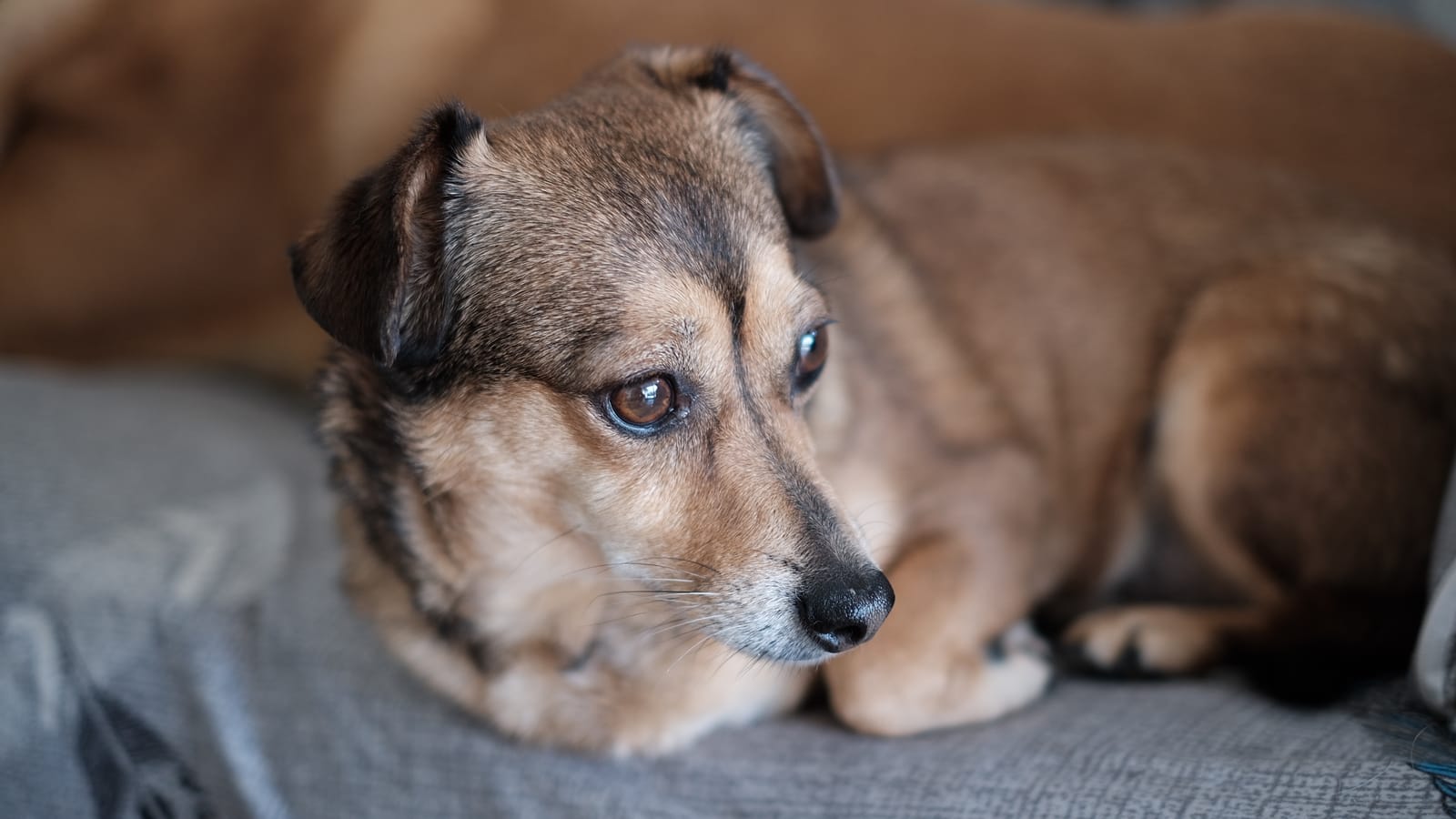 Fujifilm XF35mmF1.4 R customer photo 2