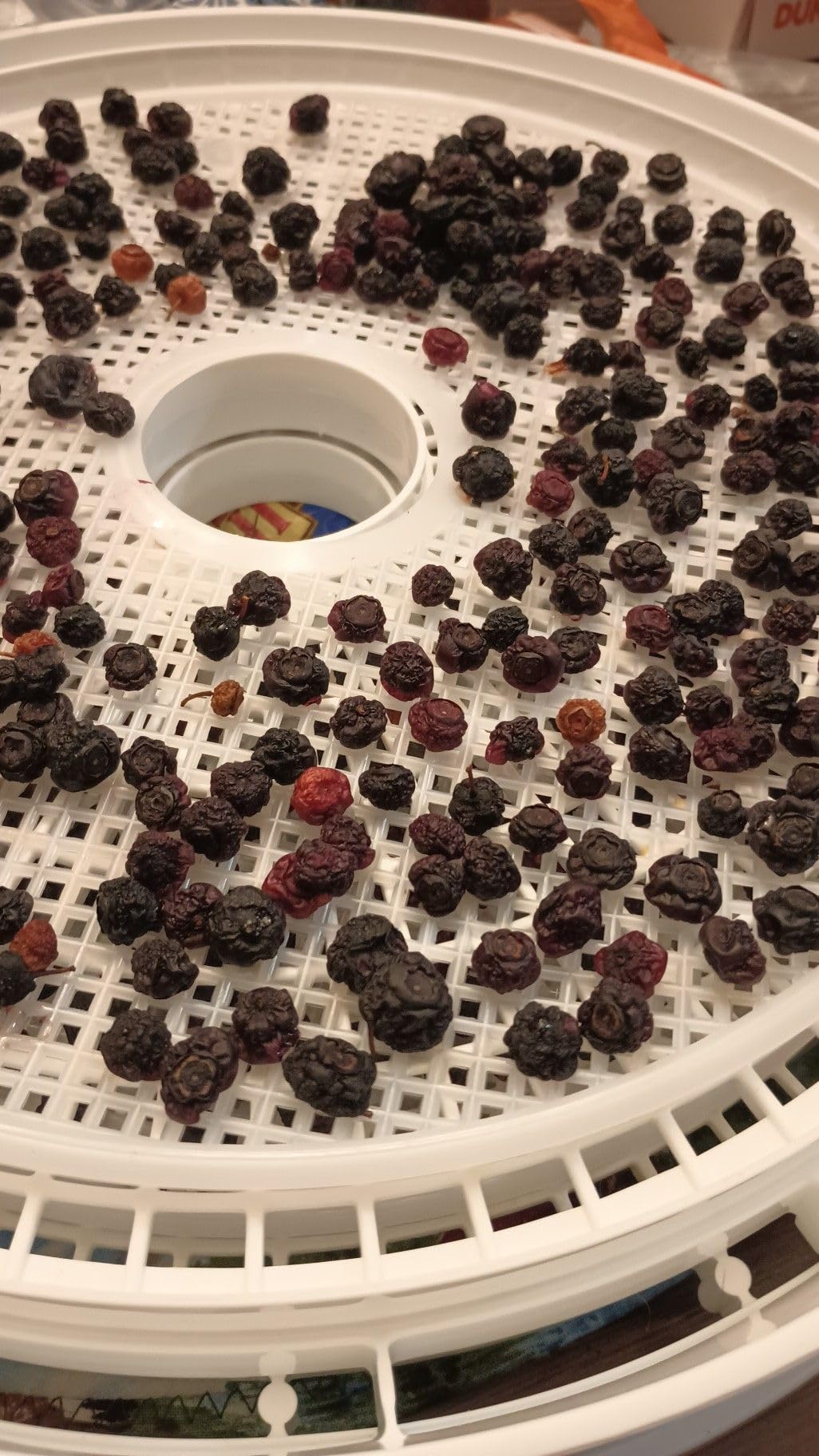 Presto 06300 Dehydro Electric Food Dehydrator customer photo 2