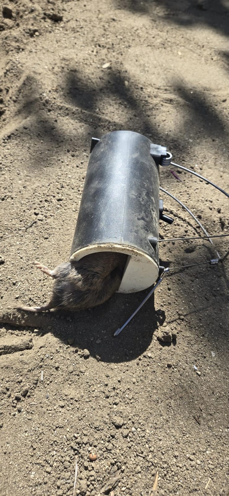 Gonzo 5001 Dead-End Mole & Gopher Trap customer photo 1