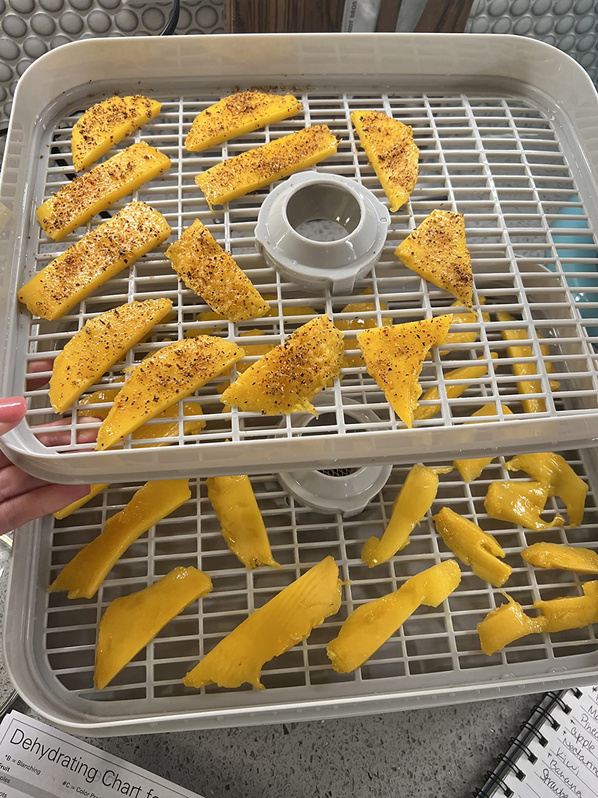 Hamilton Beach Digital Food Dehydrator for Fruit, Jerky, Vegetables & More customer photo 2