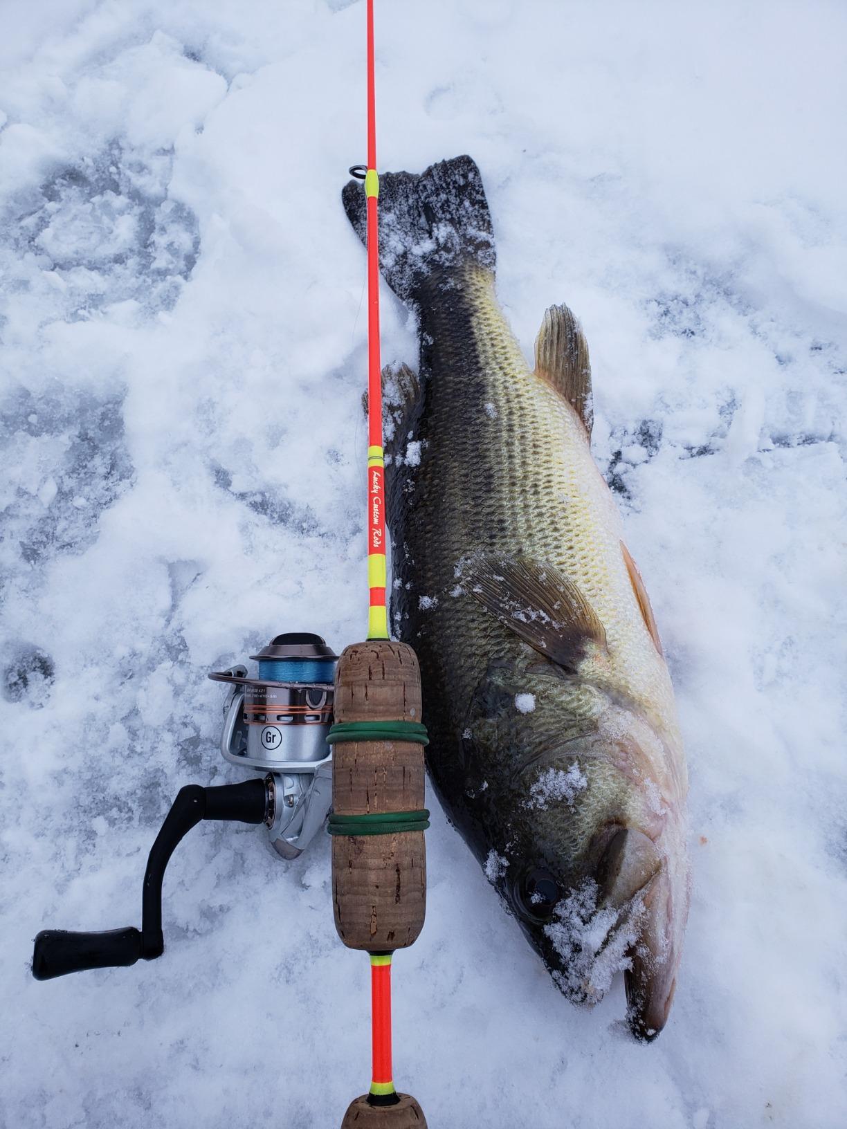 Pflueger MONICEB Monarch Ice Spinning Reel customer photo 1