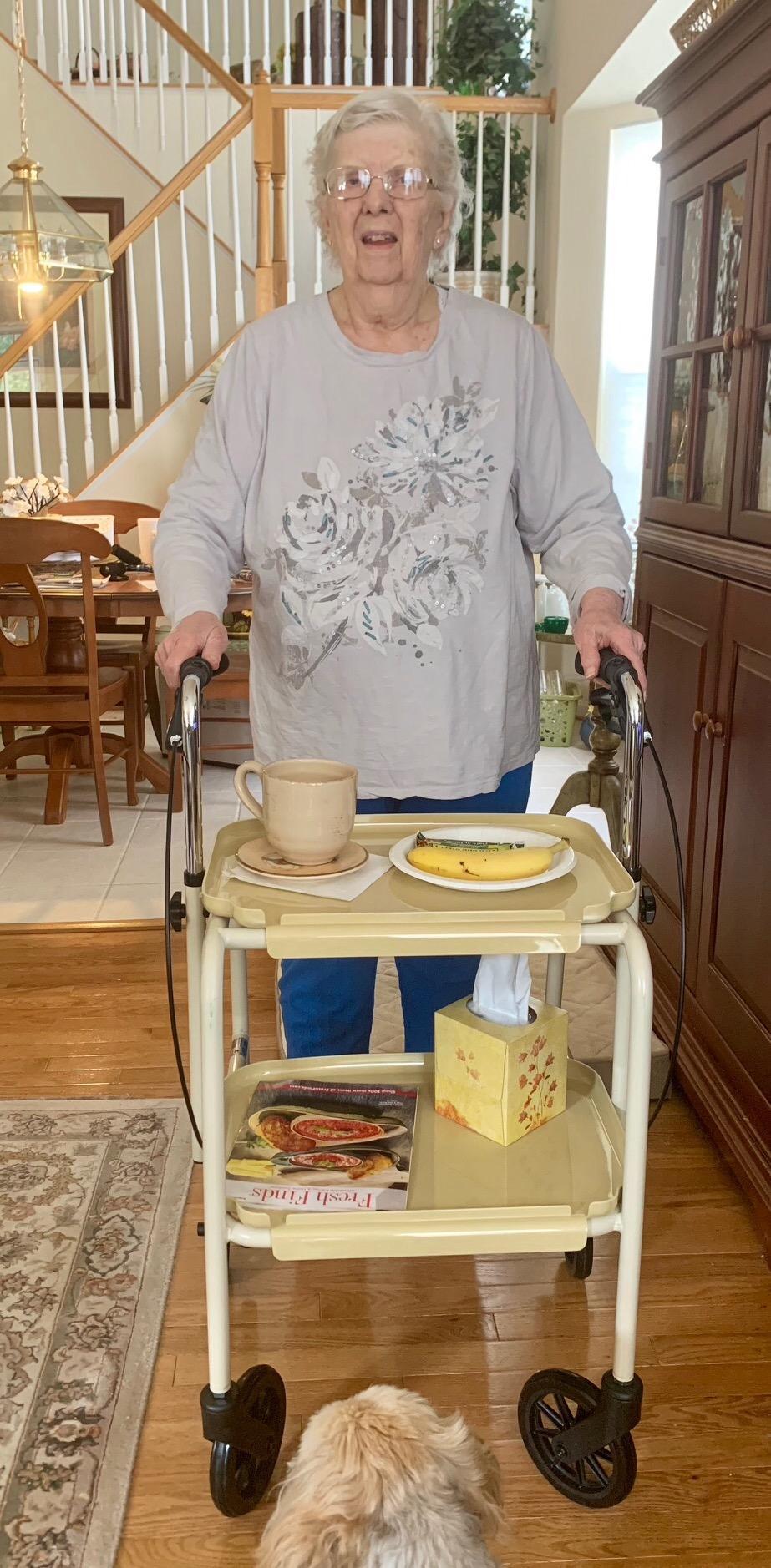 Homecraft Deluxe Walker Trolley, Mobility Aid with Built in Trays for Carrying Personal Items, Sturdy Walking Device with Hand Brakes to Control and Support, Shelves Have High Edges to Keep Objects On customer photo 1