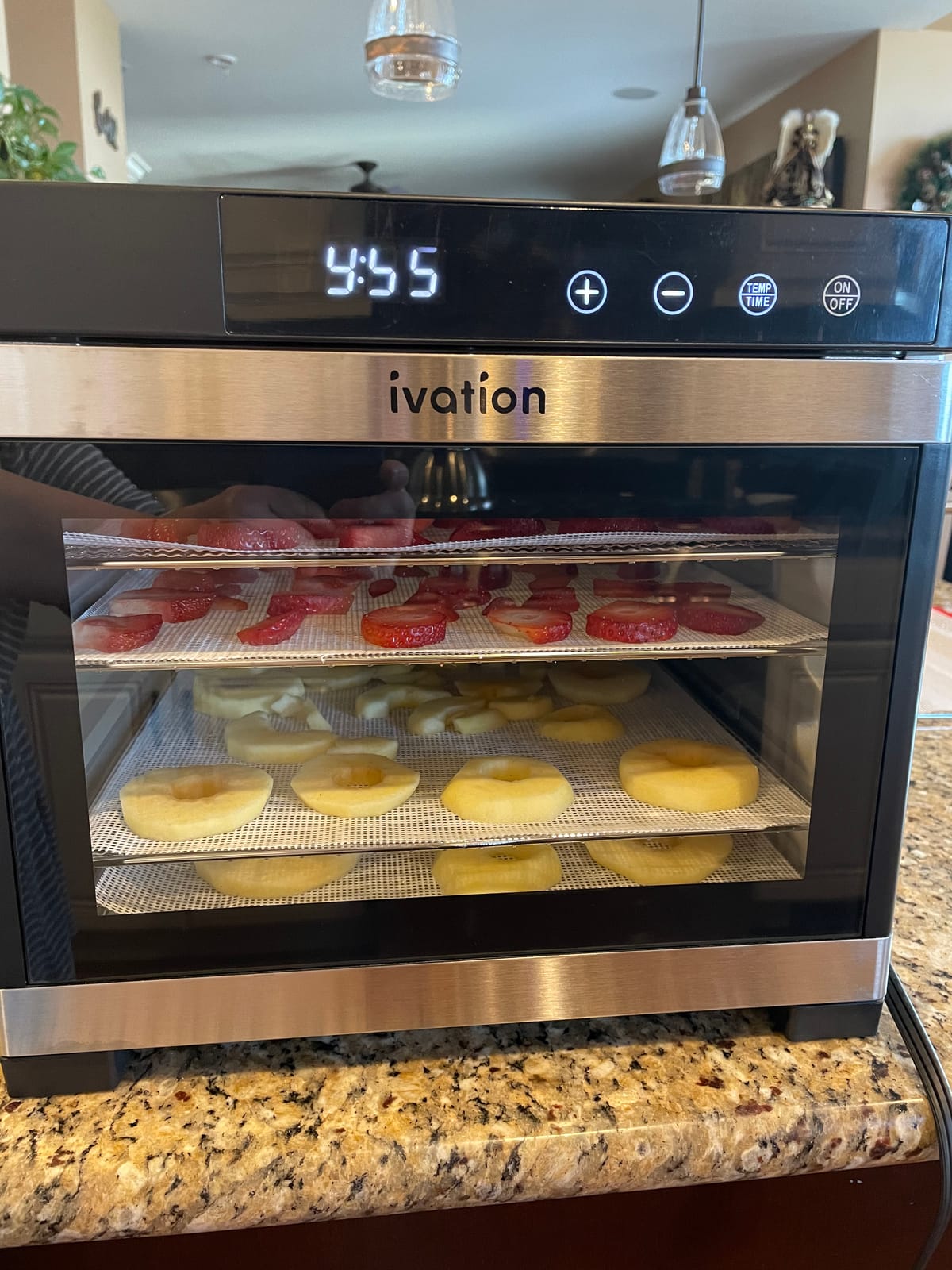 Ivation 10 Tray Food Dehydrator, 1000W, Stainless Steel customer photo 2