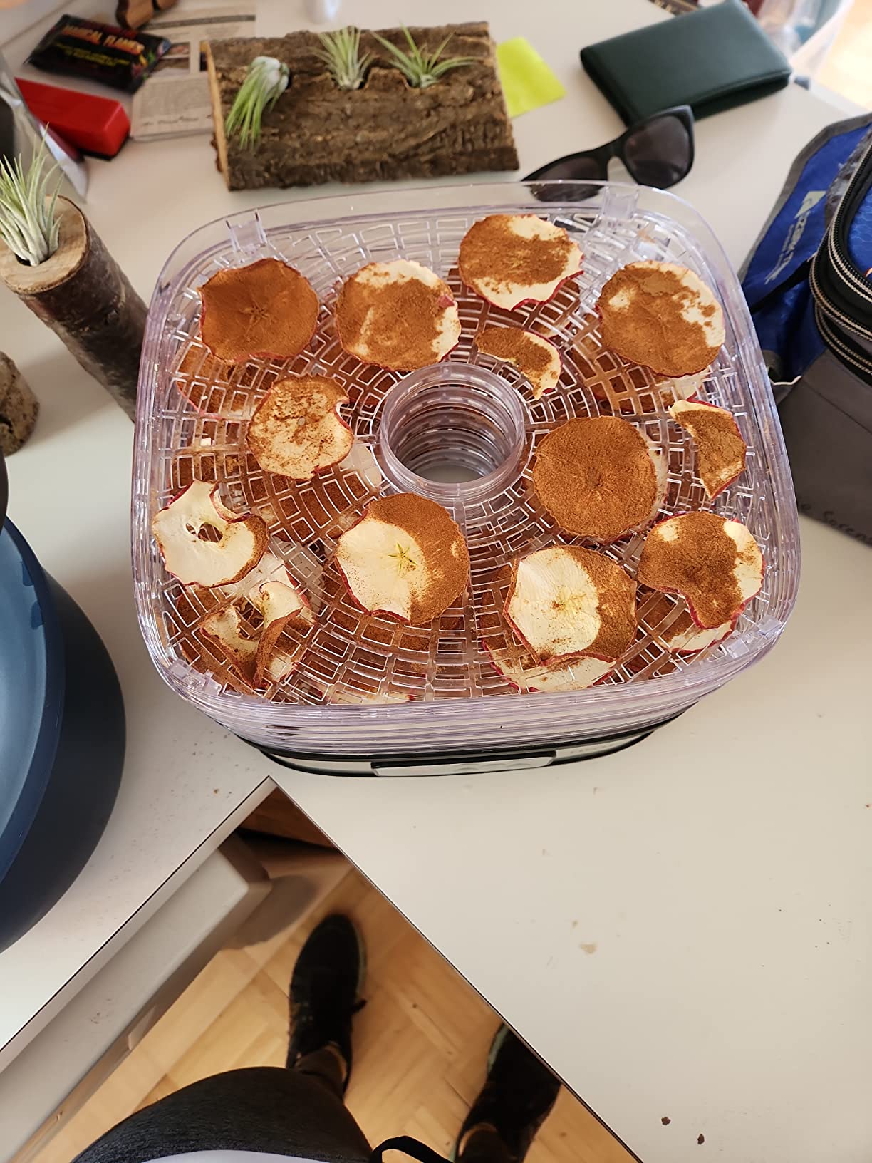OSTBA Food Dehydrator, 5 Trays, 240W Dryer for Jerky, Fruit & Snacks customer photo 1