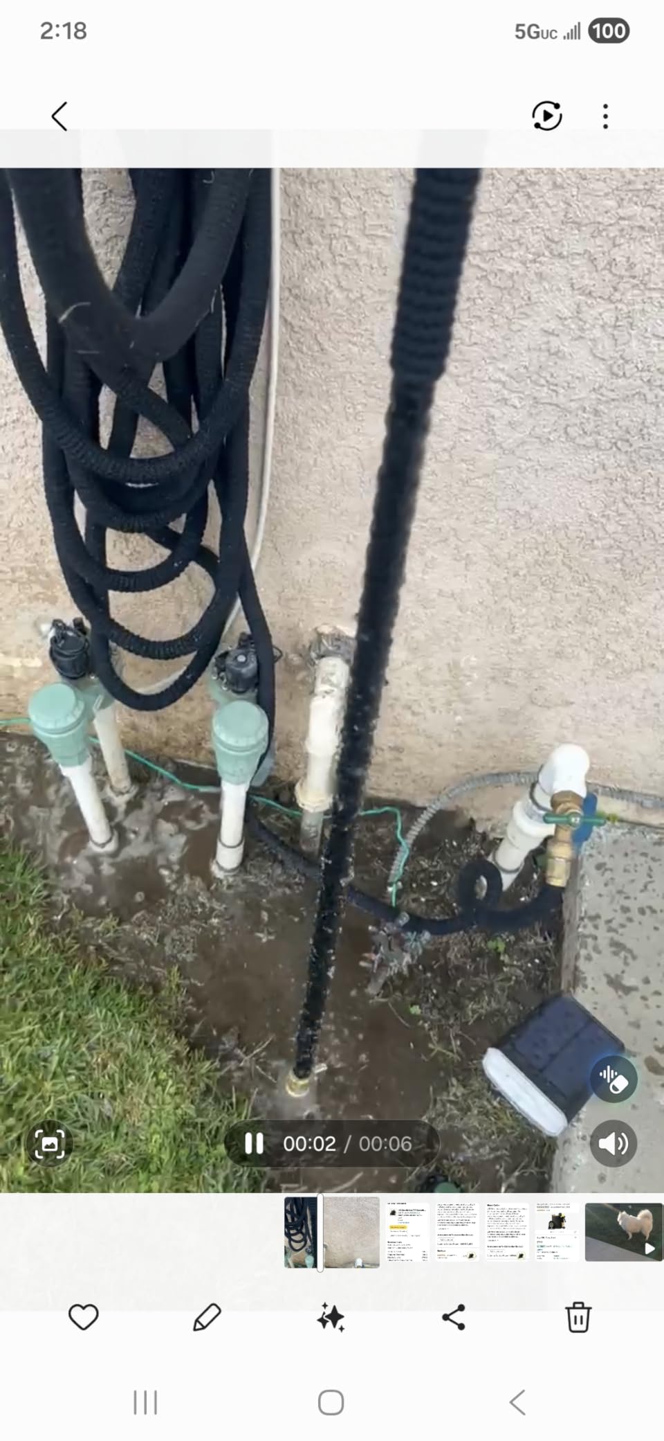 J&B XpandaHose 50ft Expandable Garden Hose, Lightweight, Brass Connectors customer photo 1