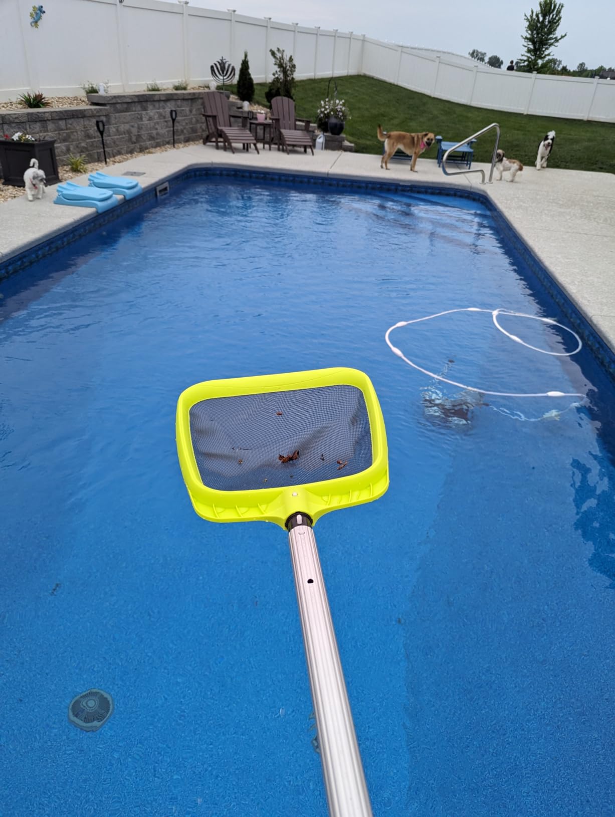 Sepetrel Pool Skimmer Net - Professional Heavy Duty Reinforced Frame Nylon Flat Leaf Rake Net,for Spa Pond Swimming Pool, Cleaning Supplies and Accessories, (Pole Not Included) customer photo 2