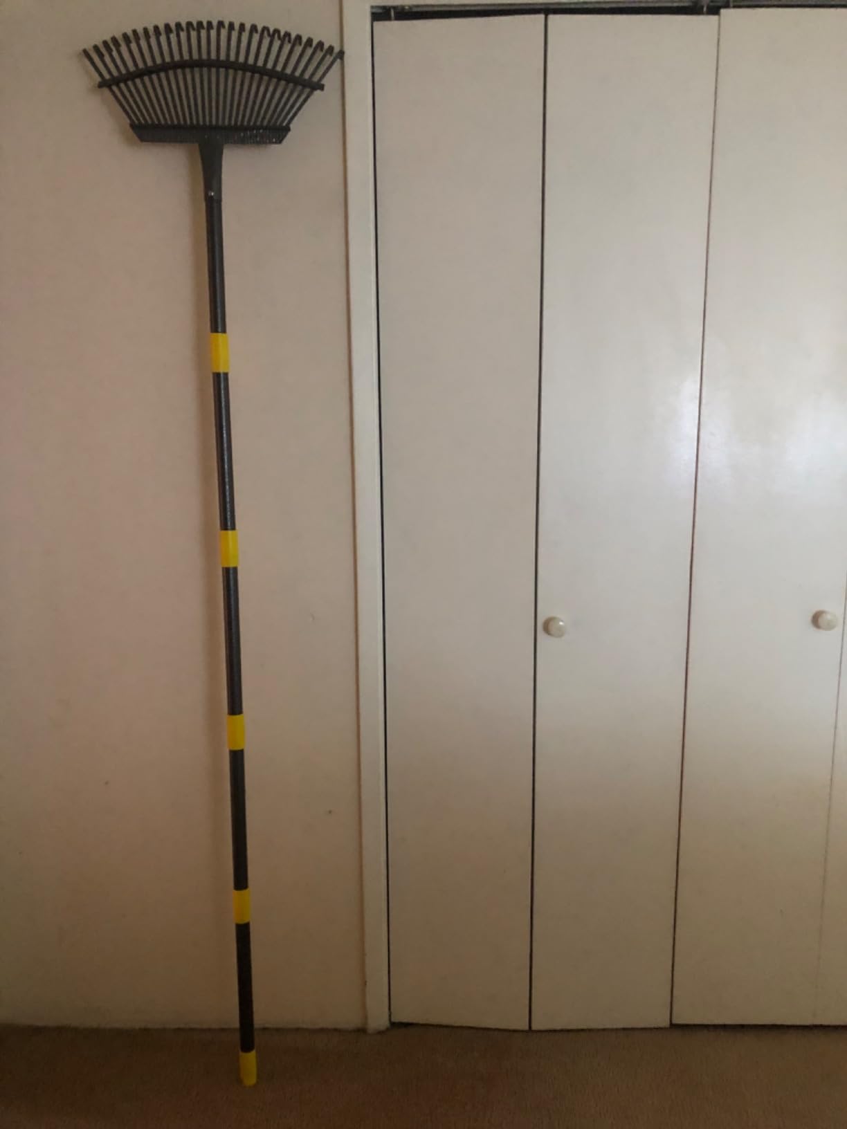 Garden Leaf Rake, 8.5