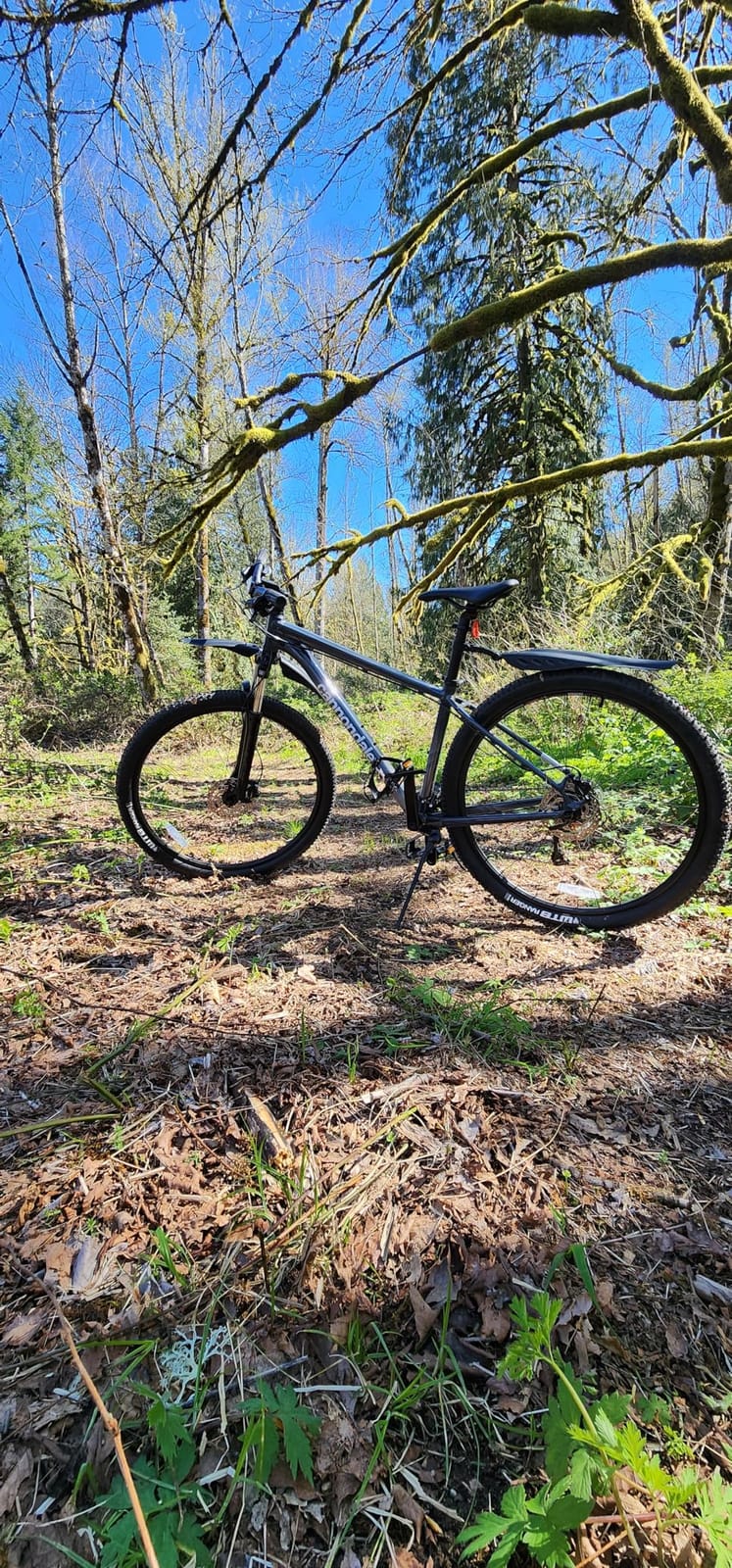 R2Depot Bike Fender Set for 22