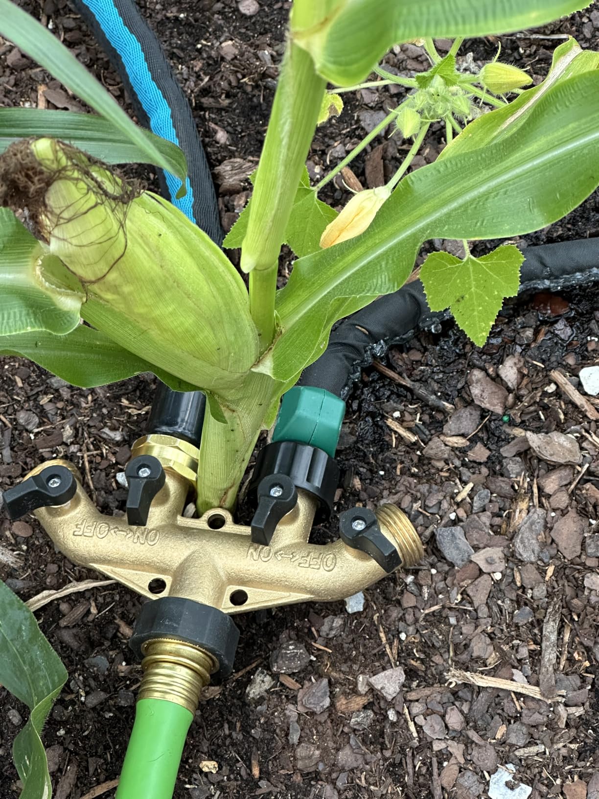 4-Pack Short Soaker Hose 10FT for Vegetable Beds customer photo 1