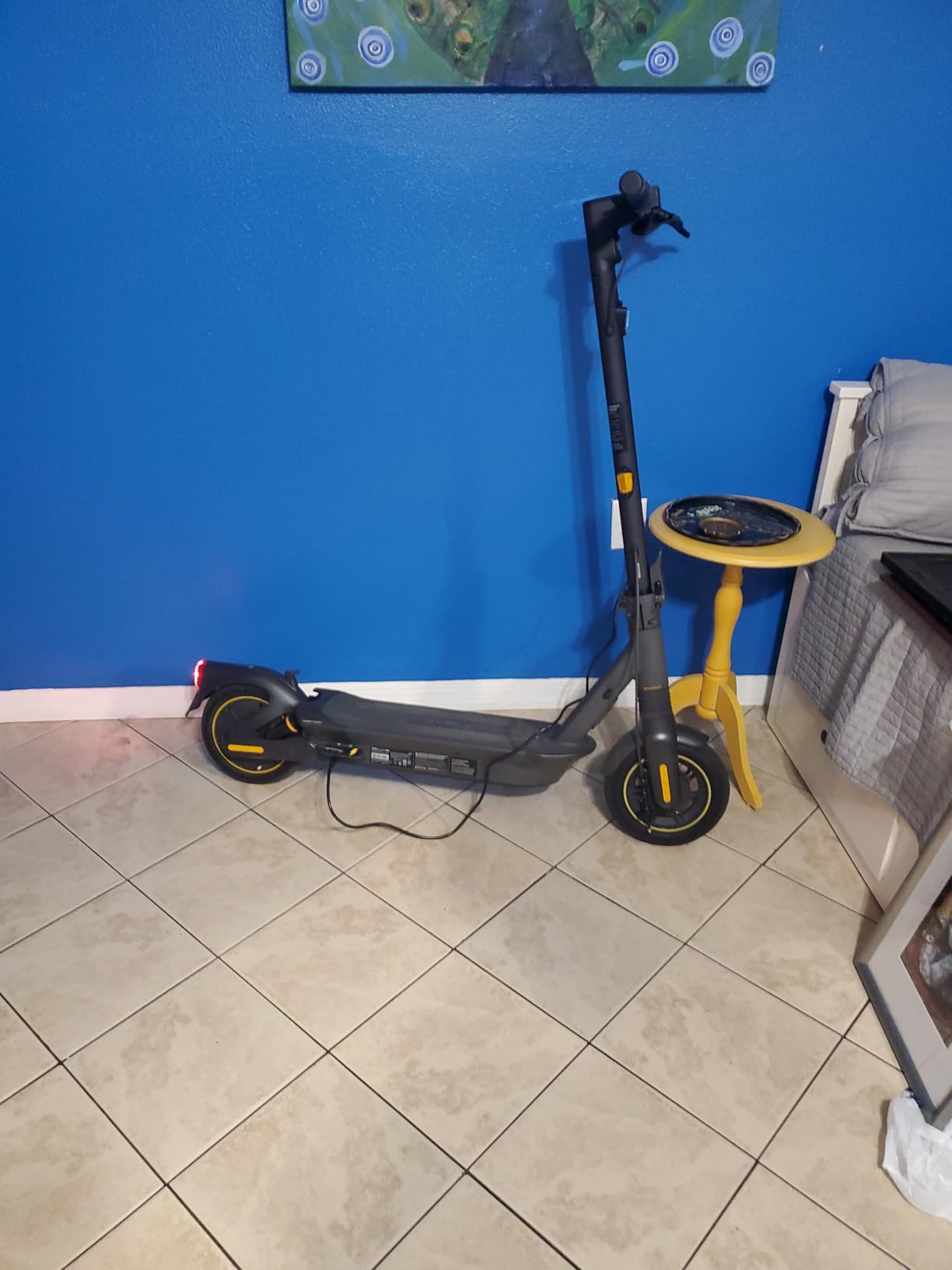 Segway Ninebot MAX G3 Plus/G3 / G2 Electric Scooter for Adult, UL Certified customer photo 1