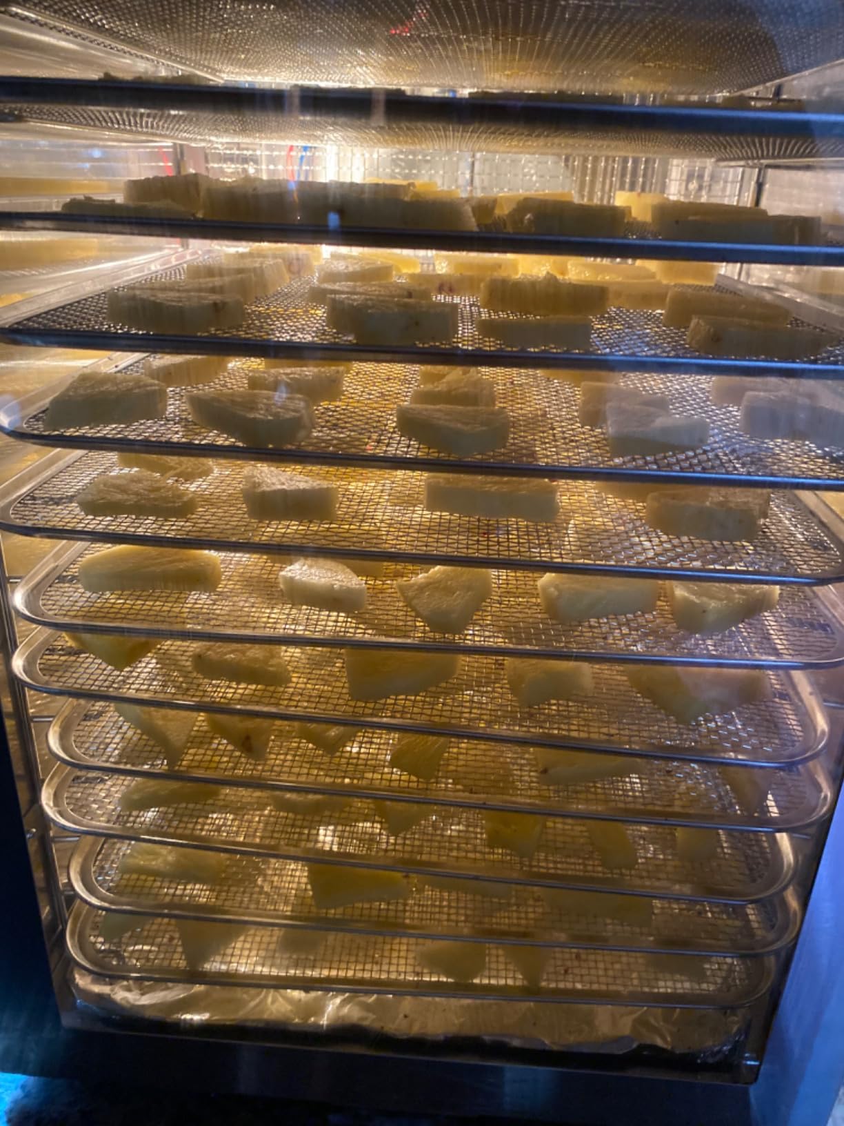Food-Dehydrator Machine Adjustable Temperature 12 Trays 800W Food Dryer customer photo 1