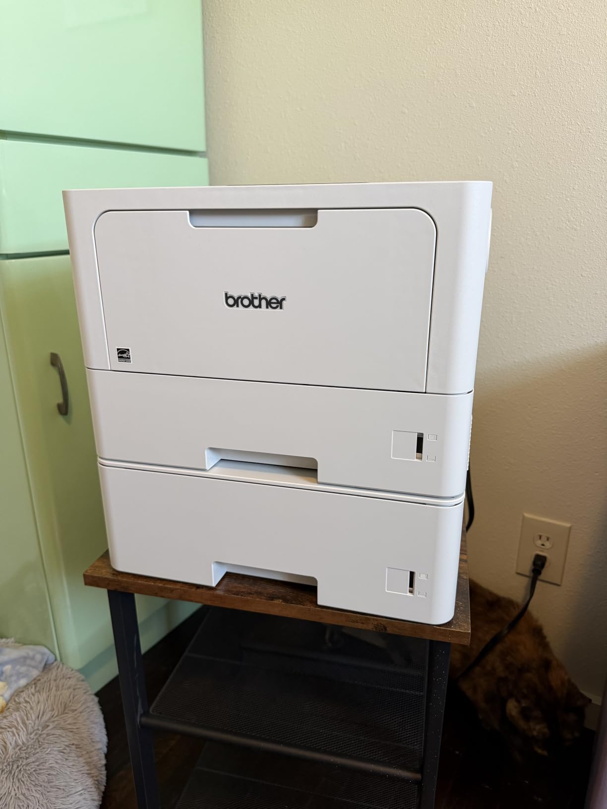 Brother HL-L5210DWT Business Monochrome Laser Printer with Dual Trays, Wireless and Gigabit Ethernet Networking, Duplex Printing, Large Paper Capacity, and Mobile Printing, White customer photo 1
