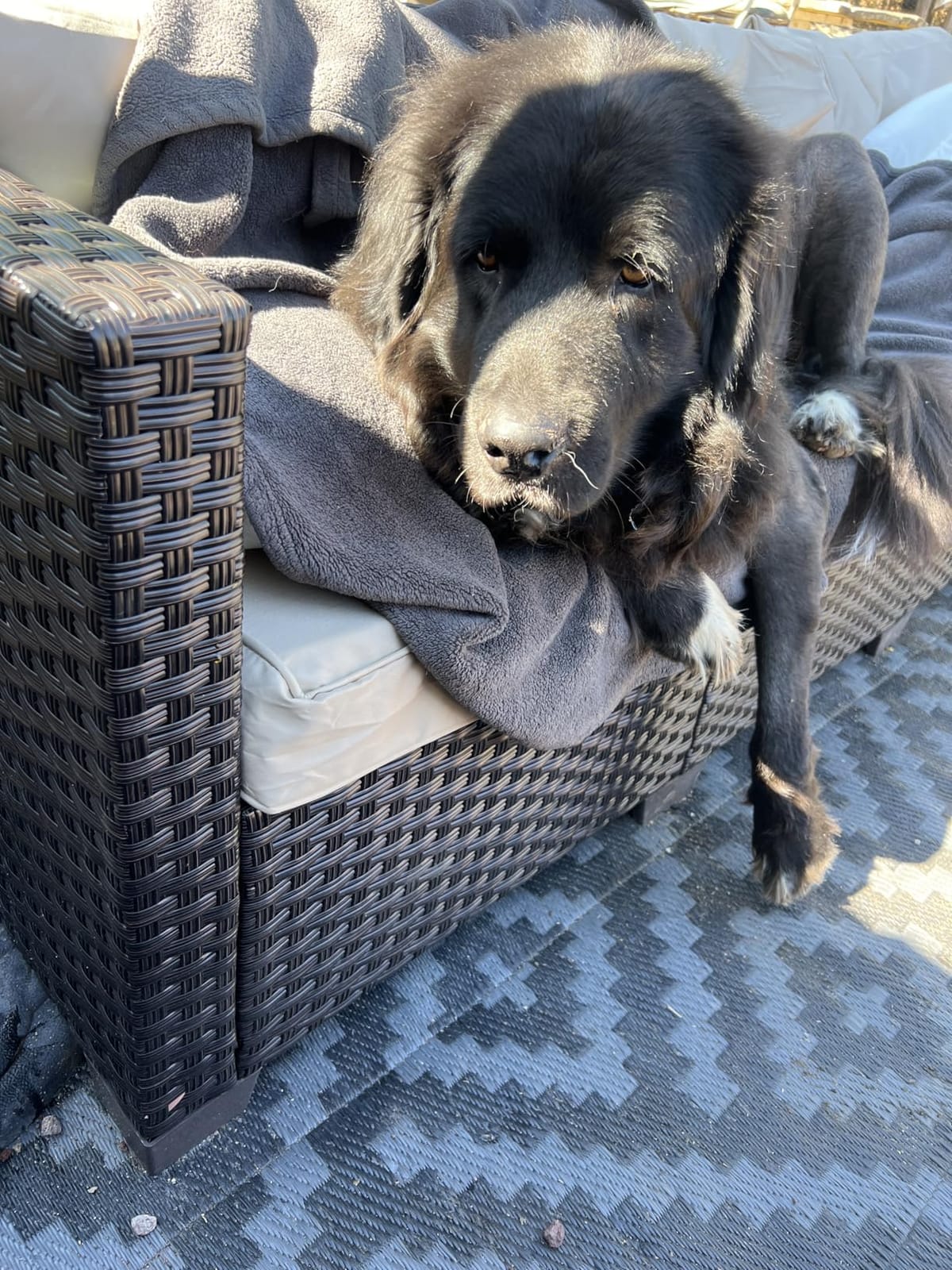 Rattan Star Outdoor Furniture Couch 3 Seater Sofa Outdoor Brown Wicker Sofa Deep Seat High Backrest Patio Couch with Non-Slip Cushions Waterproof Cover, Khaki customer photo 2