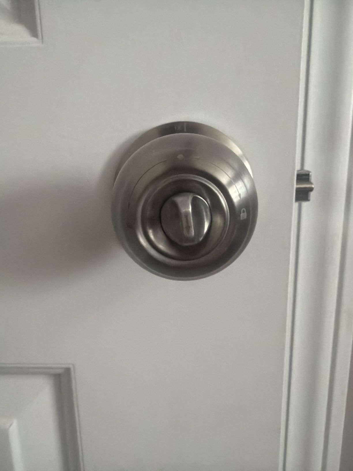 Fingerprint Door Lock, Smart Fingerprint Door Knob with Lock, Silver customer photo 1