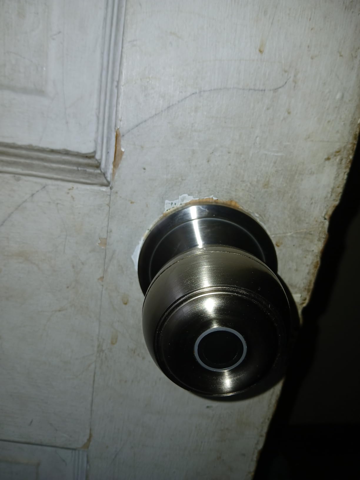 Fingerprint Door Lock, Smart Fingerprint Door Knob with Lock, Silver customer photo 2
