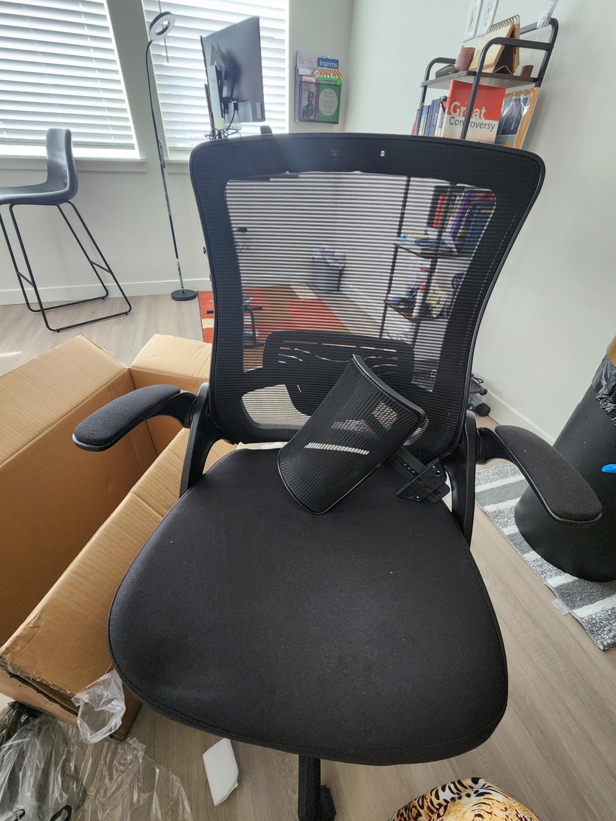 NEO CHAIR Office Desk Chair with Ergonomic High Back Mesh Headrest, Beige customer photo 1
