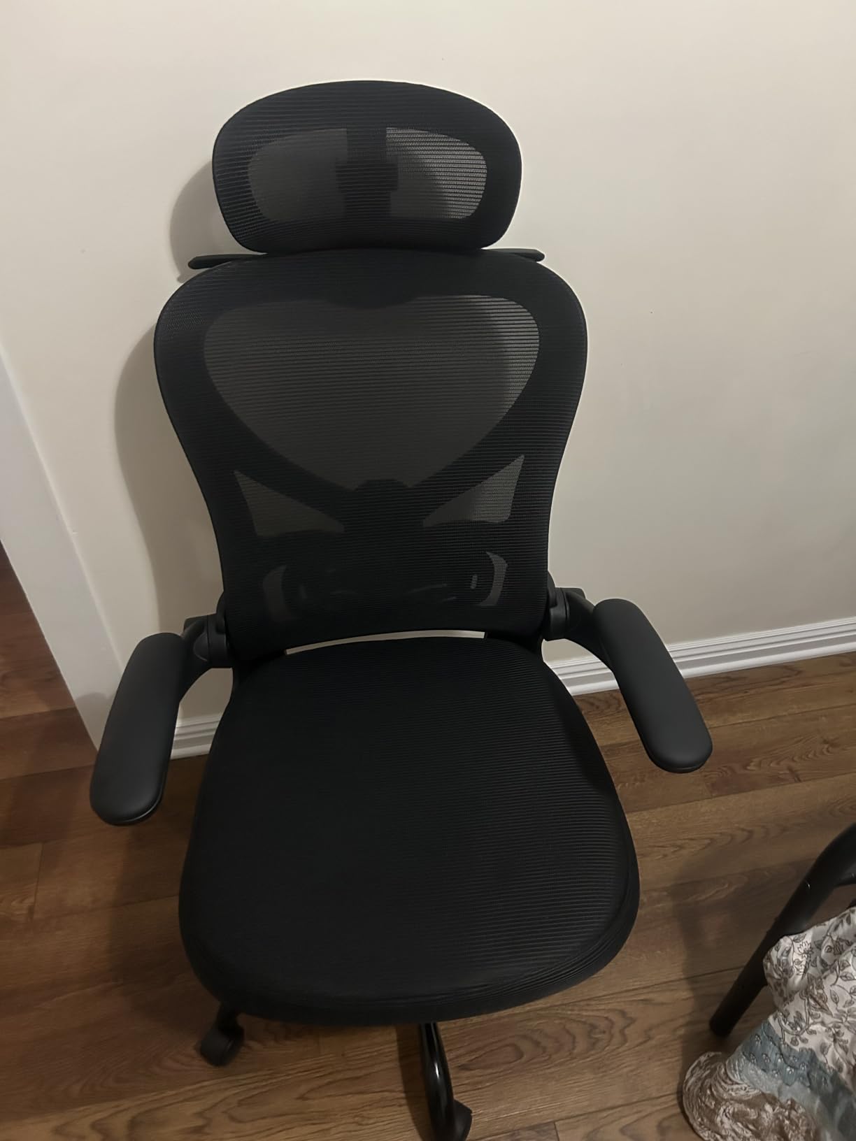Ergonomic Office Chair, Mesh Home Office Desk Chairs with 3D Headrest customer photo 1