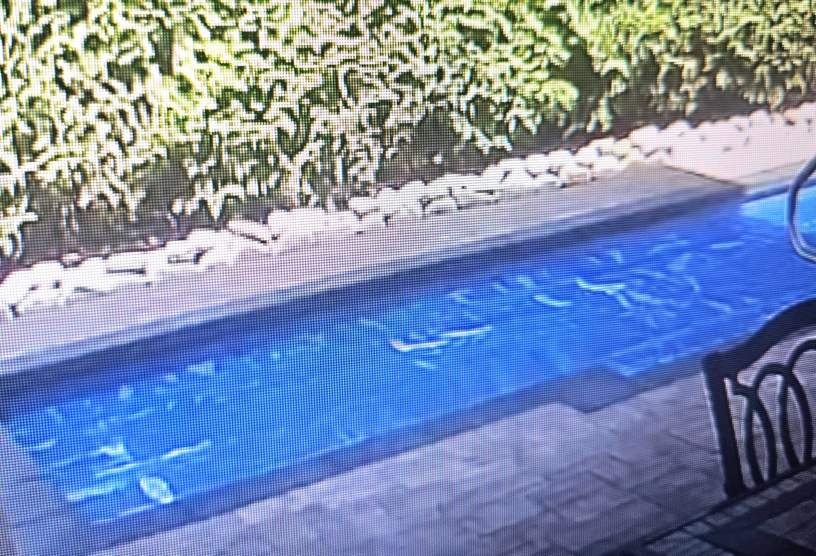 VINGLI 16Mil Solar Pool Cover, Blue 16'x32' Rectangular customer photo 1