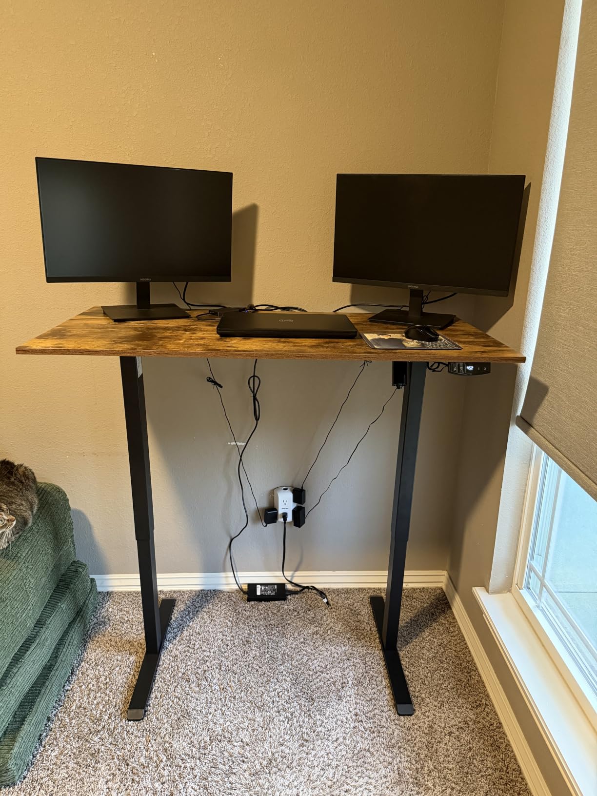 Agilestic 26*16 Inch Height Adjustable Electric Standing Desk, Dark Walnut customer photo 2