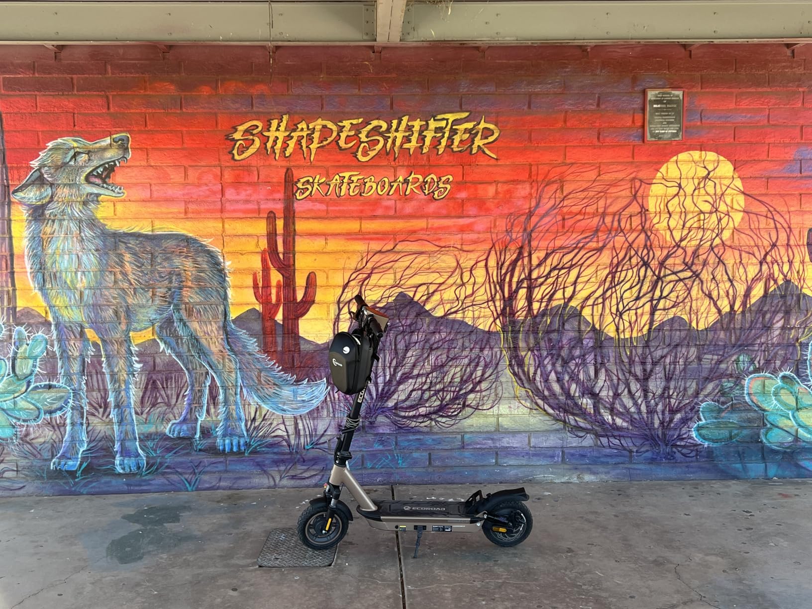 ECOROAD Electric Scooter for Adults 750W 25 MPH 30-35 Miles Long Range customer photo 1