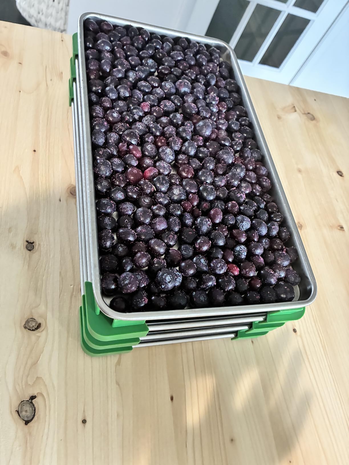 Freeze Dryer Trays, Medium Metal Trays(5 Pcs) customer photo 1