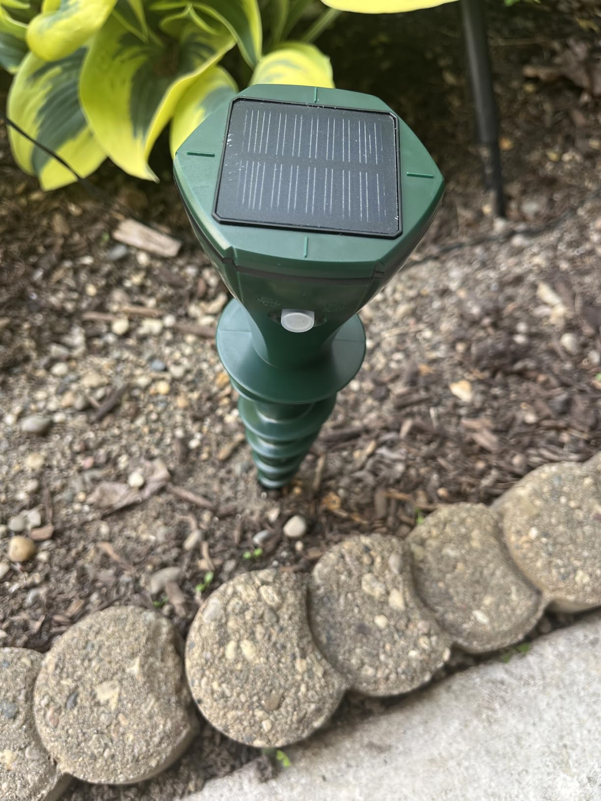 Solar Powered Mole Repellent, 8 Pack for Lawns and Gardens customer photo 1