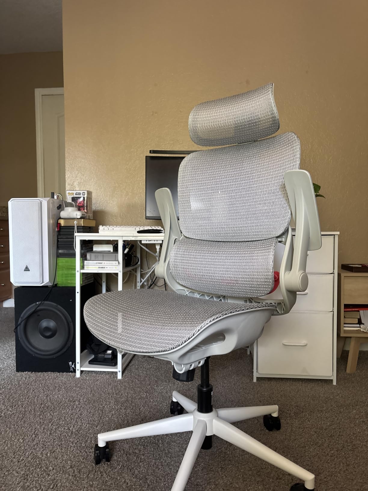 SIHOO B100 PRO Ergonomic Office Chair with Footrest, 4D Flip-Up Armrests customer photo 1