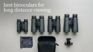 best binoculars for long distance viewing